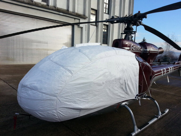 gazelle-1