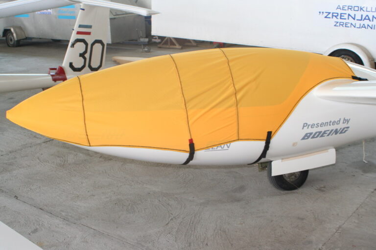 glider_dg300-1