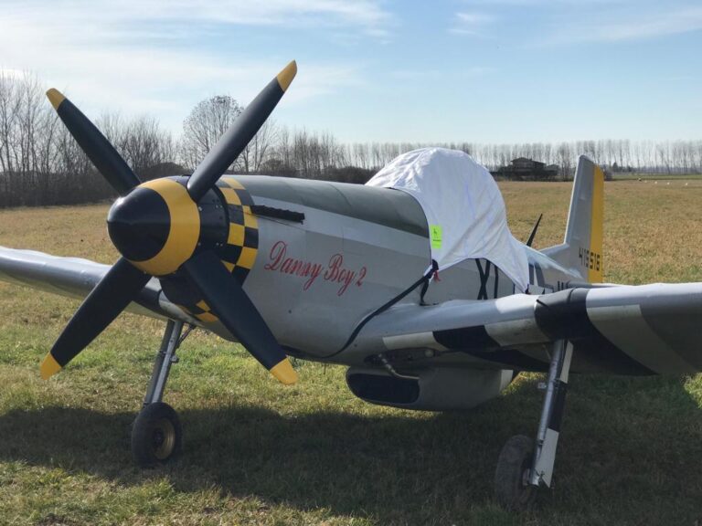 mini_mustang_p51-1