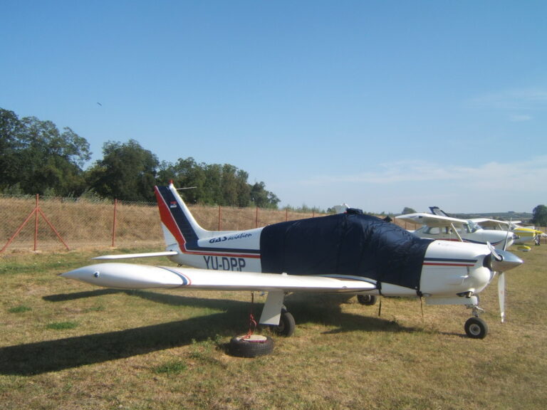 piper_arrow-1
