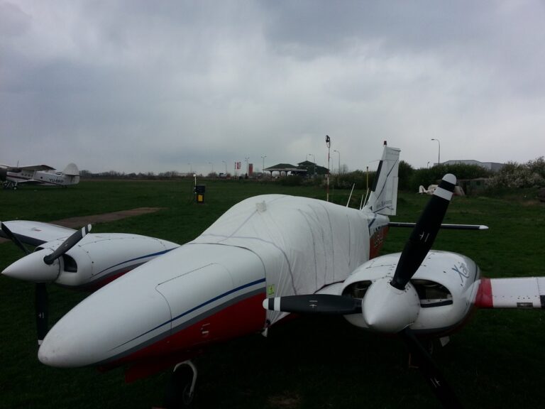 piper_seneca-1